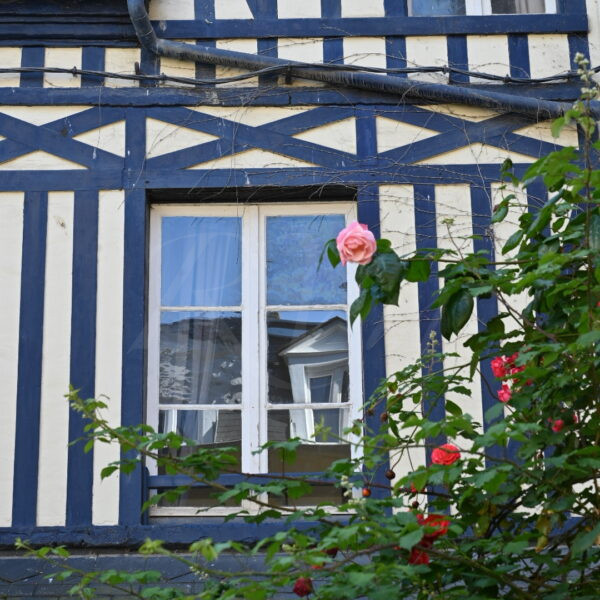 Bleu Normand