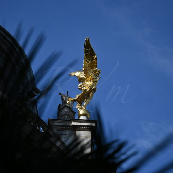 Paris a des ailes