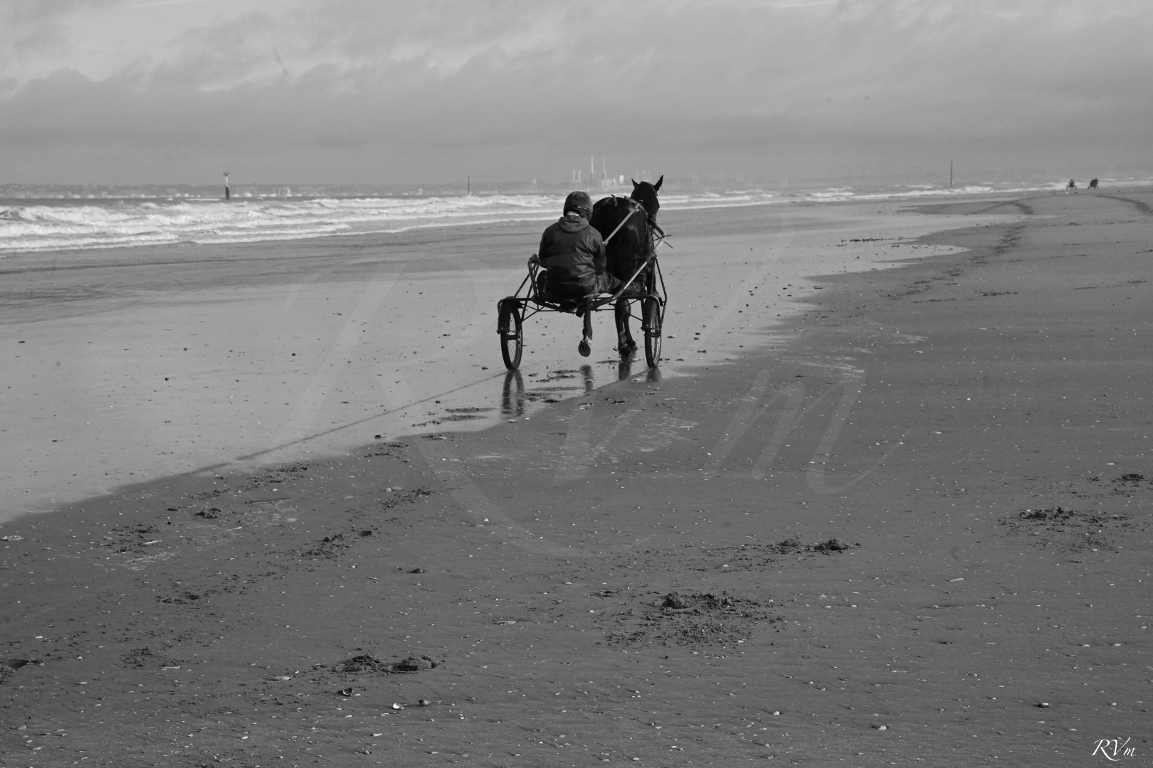 Le trotteur