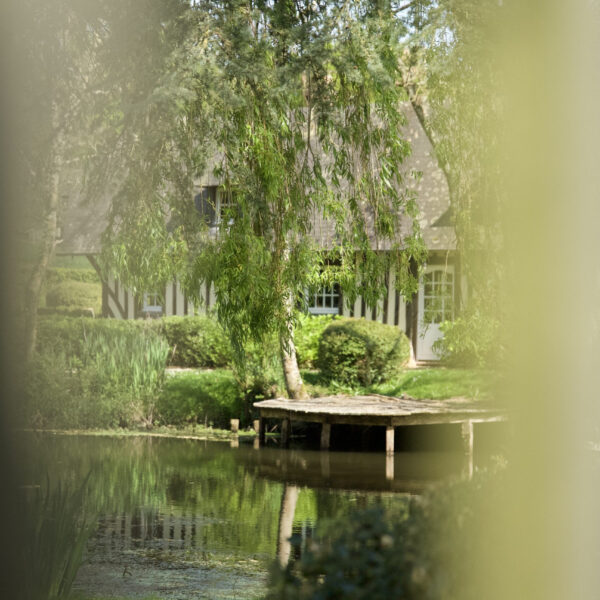 Sous le saule
