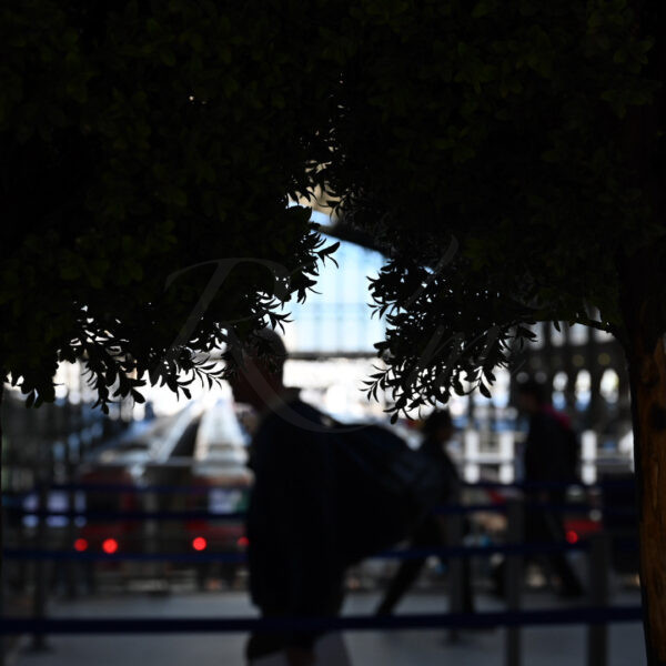 Le passant de la gare