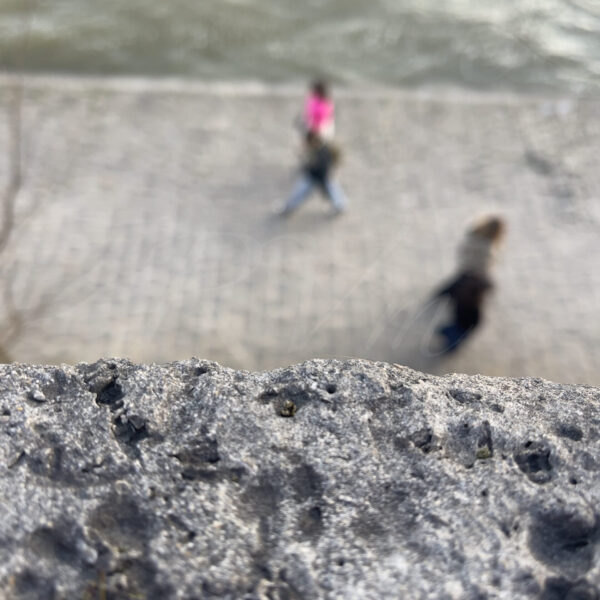Évanescence Parisienne