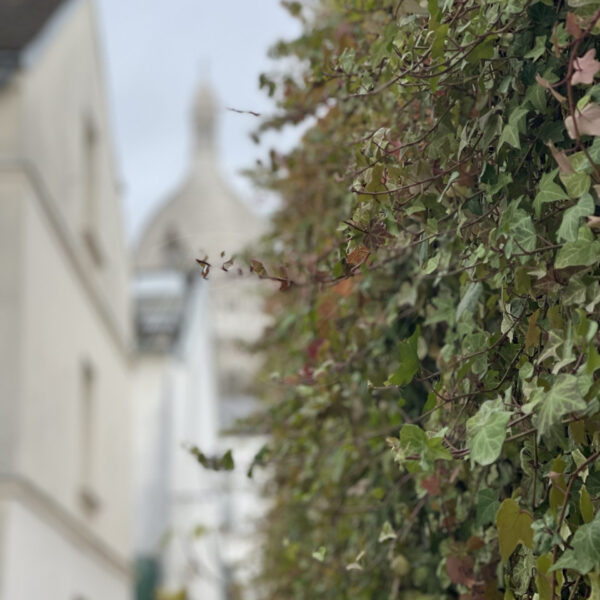 Sacré flou